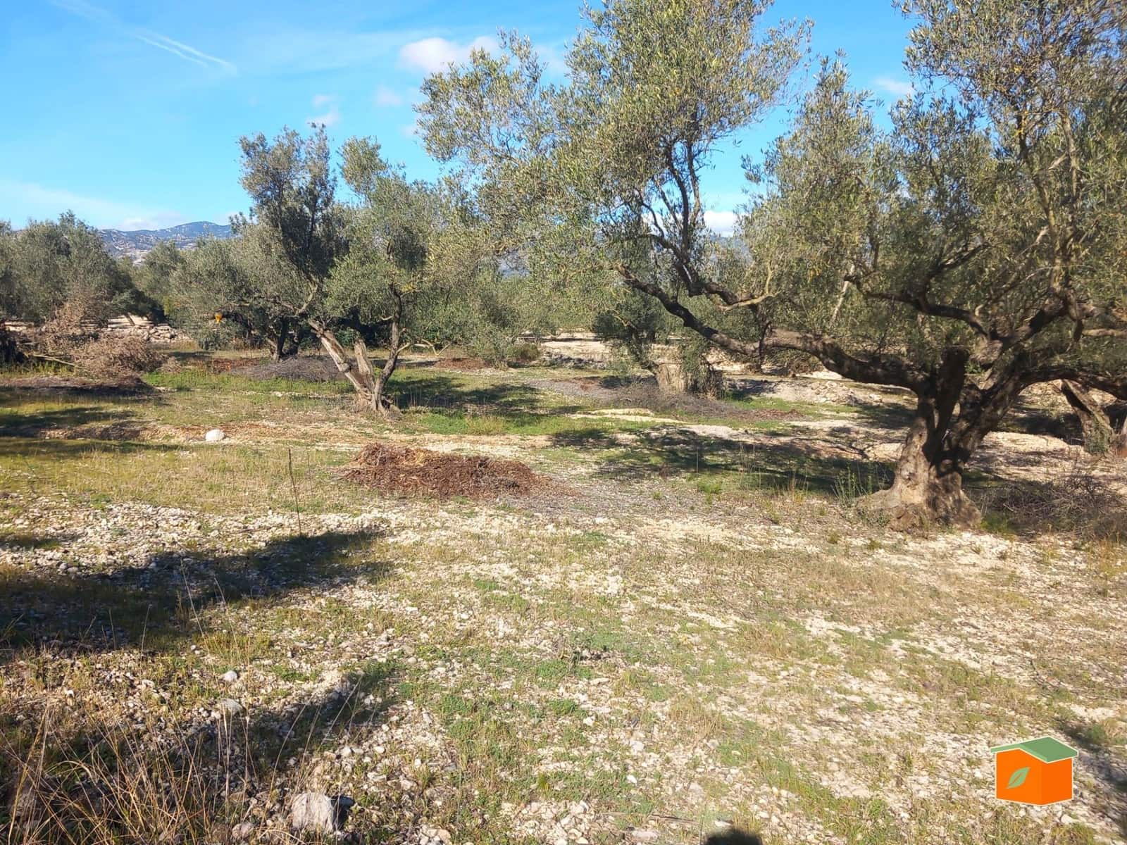 Grunde uden byggetilladelser til salg i Mas de Barberans - € 130.000 (Ref: 8915482)