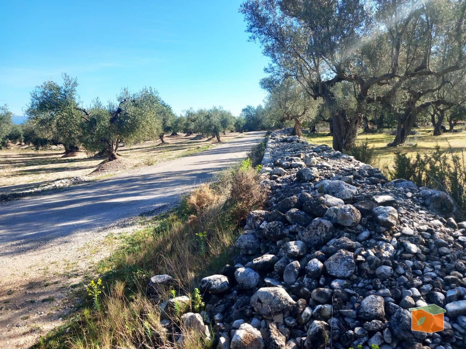 Grunde uden byggetilladelser til salg i Mas de Barberans - € 130.000 (Ref: 8915482)