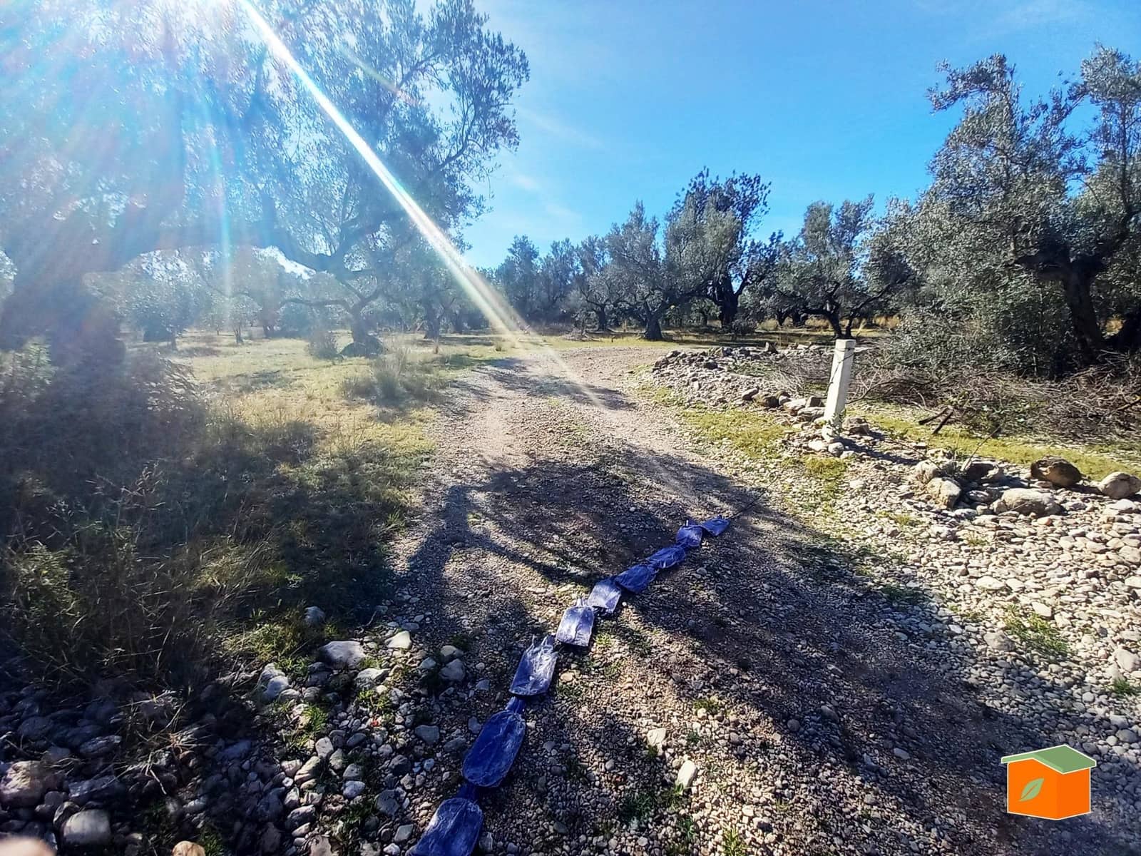 Grunde uden byggetilladelser til salg i Mas de Barberans - € 130.000 (Ref: 8915482)