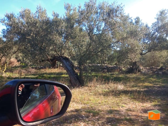 Grunde uden byggetilladelser til salg i Mas de Barberans - € 130.000 (Ref: 8915482)