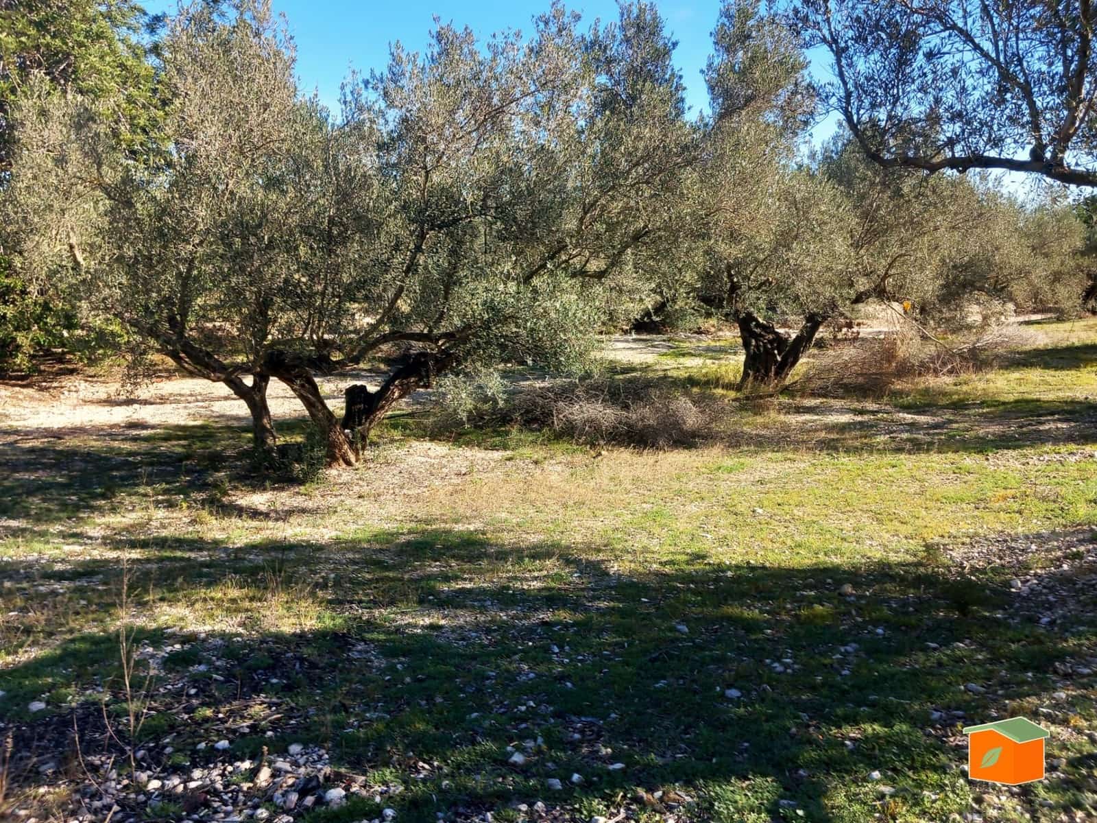 Grunde uden byggetilladelser til salg i Mas de Barberans - € 130.000 (Ref: 8915482)