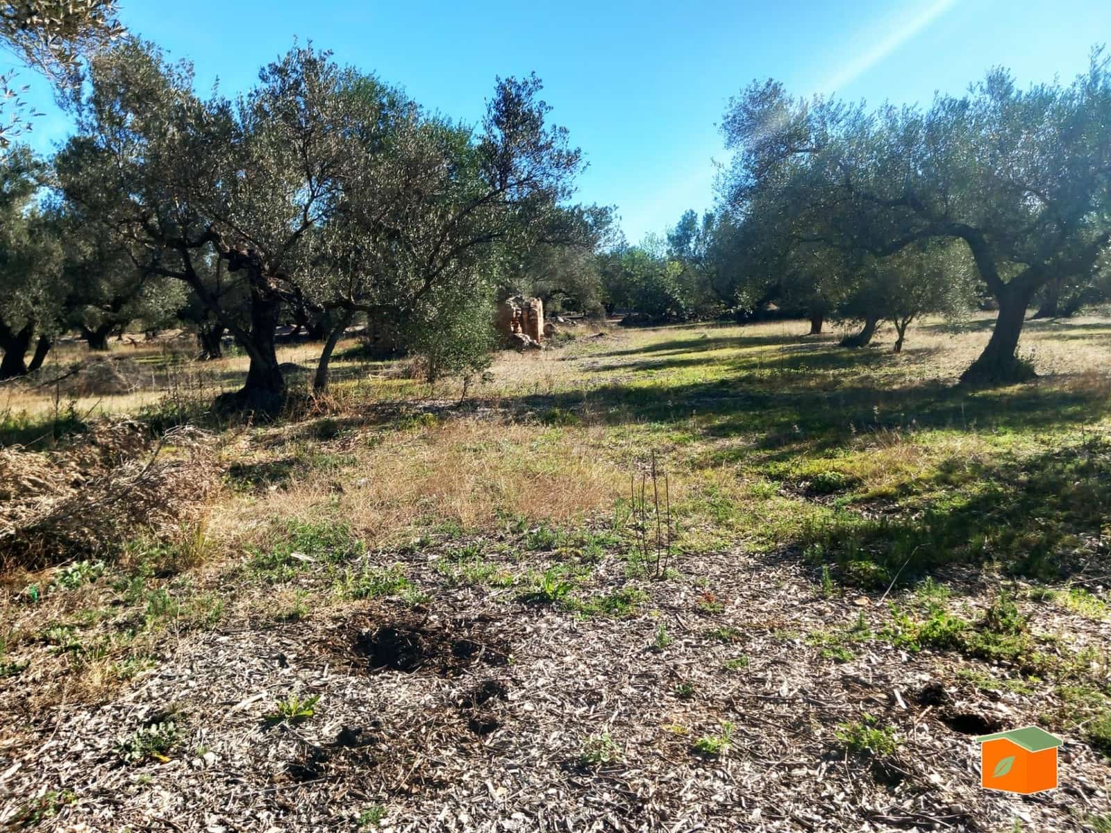 Grunde uden byggetilladelser til salg i Mas de Barberans - € 130.000 (Ref: 8915482)