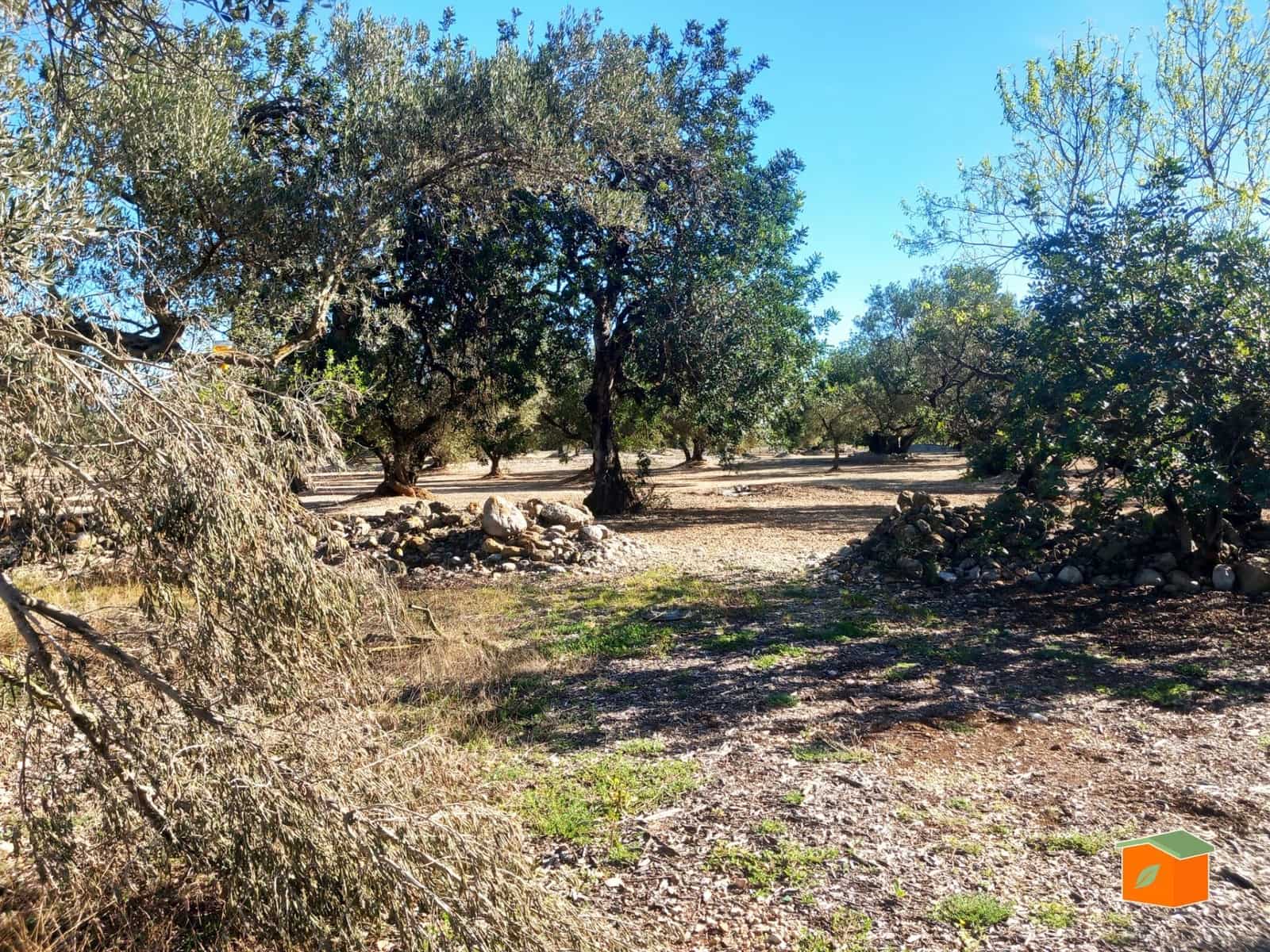 Grunde uden byggetilladelser til salg i Mas de Barberans - € 130.000 (Ref: 8915482)