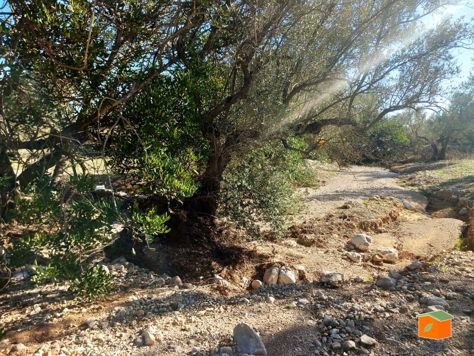 Grunde uden byggetilladelser til salg i Mas de Barberans - € 130.000 (Ref: 8915482)