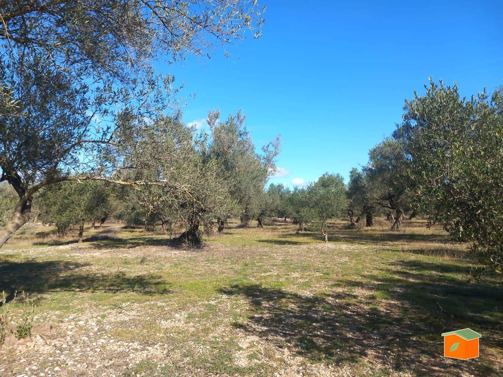 Grunde uden byggetilladelser til salg i Mas de Barberans - € 130.000 (Ref: 8915482)