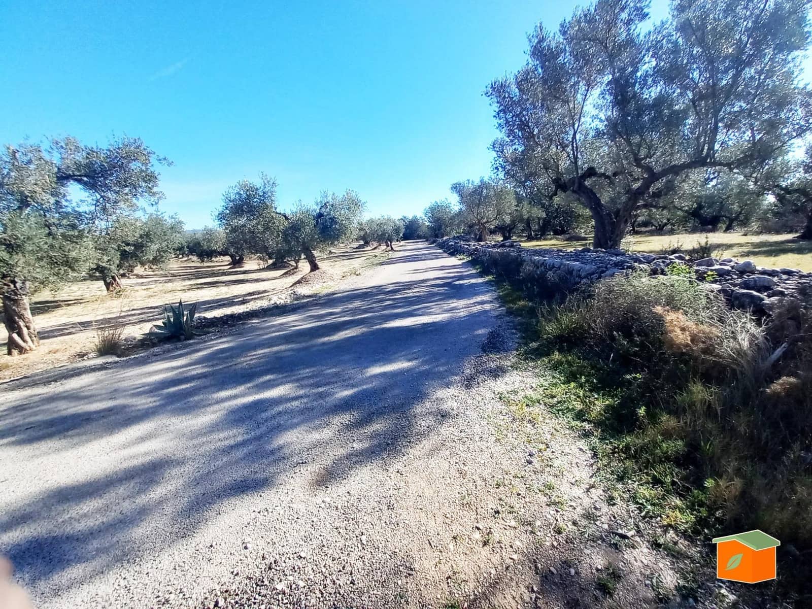 Grunde uden byggetilladelser til salg i Mas de Barberans - € 130.000 (Ref: 8915482)