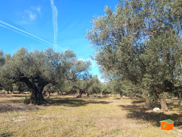 Grunde uden byggetilladelser til salg i Mas de Barberans - € 130.000 (Ref: 8915482)