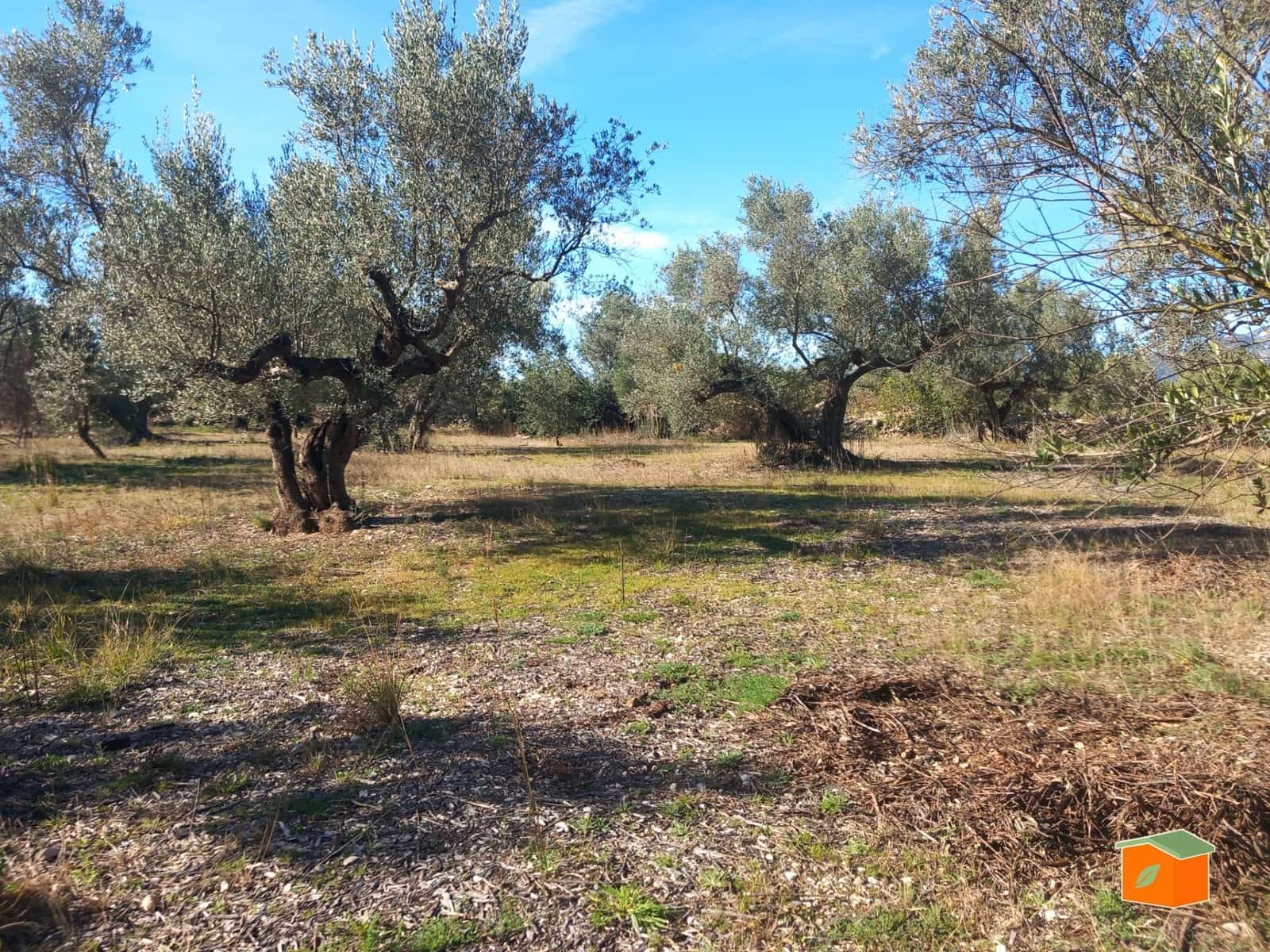 Grunde uden byggetilladelser til salg i Mas de Barberans - € 130.000 (Ref: 8915482)