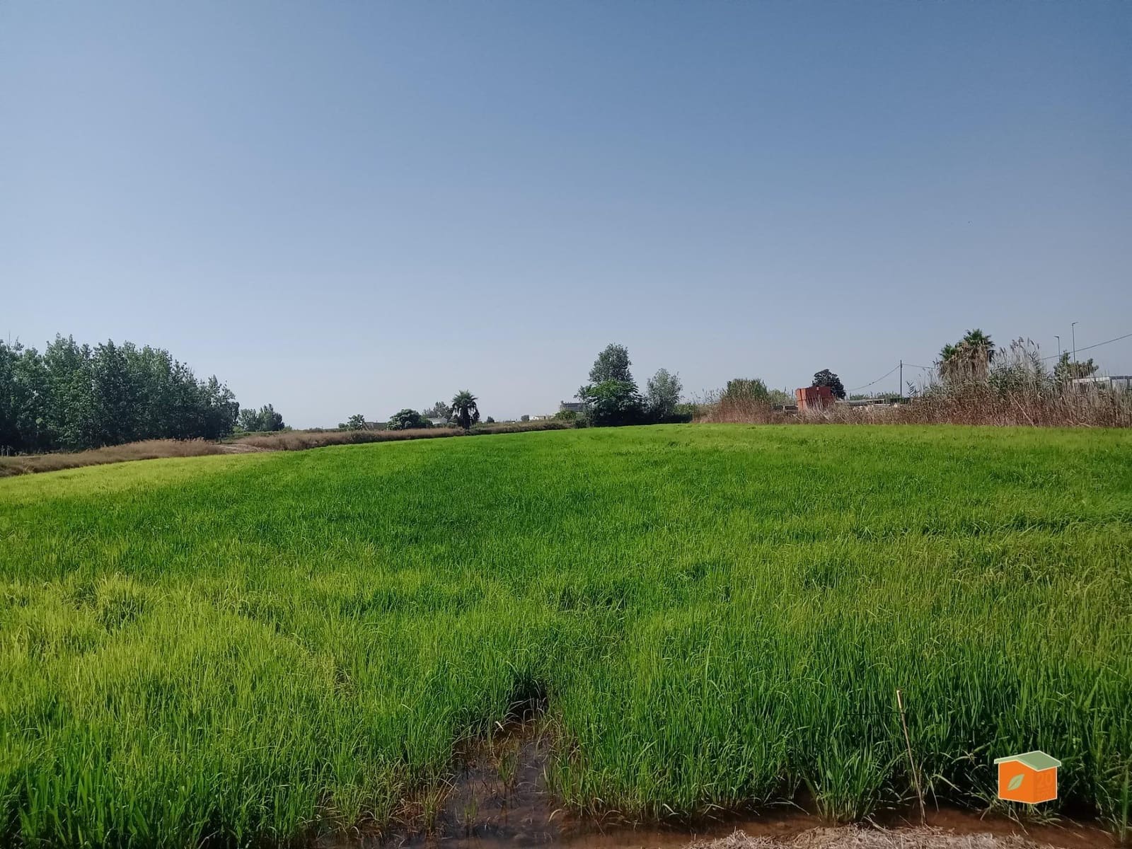 2 sovrum Finca/Hus på landet till salu i Sant Jaume d'Enveja - 89 000 € (Ref: 8976291)