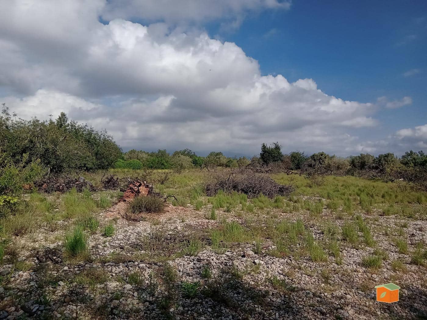 Finca/Country House for sale in Santa Barbara - € 18,000 (Ref: 8993946)