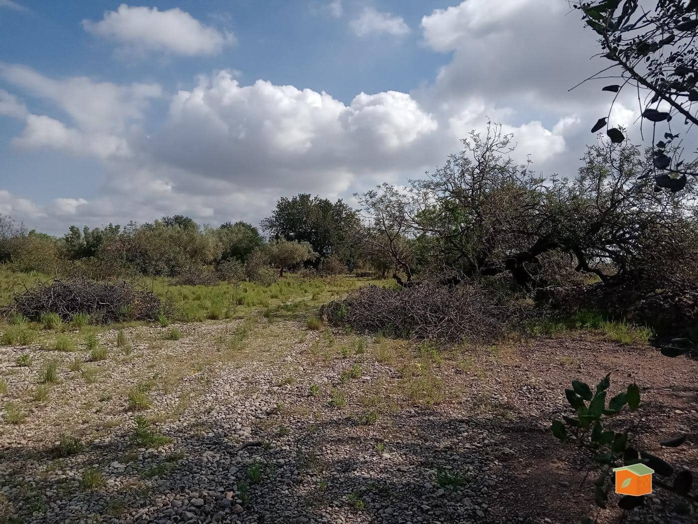 Finca/Country House for sale in Santa Barbara - € 18,000 (Ref: 8993946)