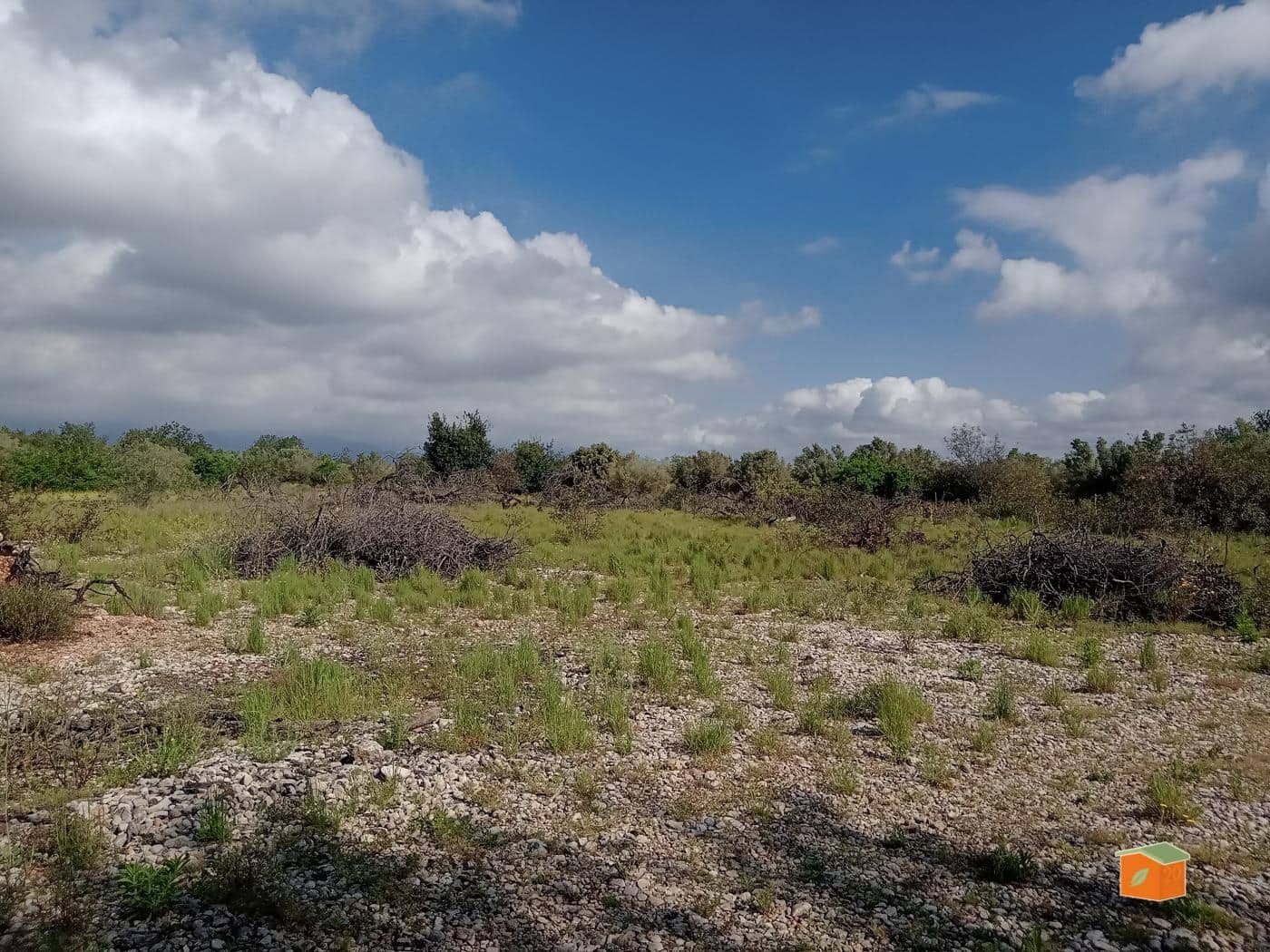 Finca/Country House for sale in Santa Barbara - € 18,000 (Ref: 8993946)