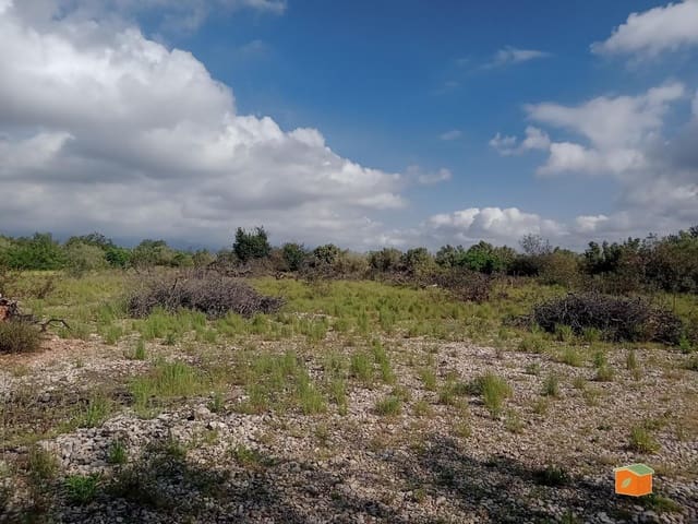 Finca/Country House for sale in Santa Bàrbara - € 18,000 (Ref: 8993946)