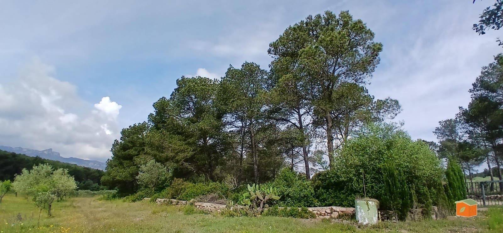 2 soveværelse Finca/Landehus til salg i El Perello med swimmingpool garage - € 245.000 (Ref: 9007304)