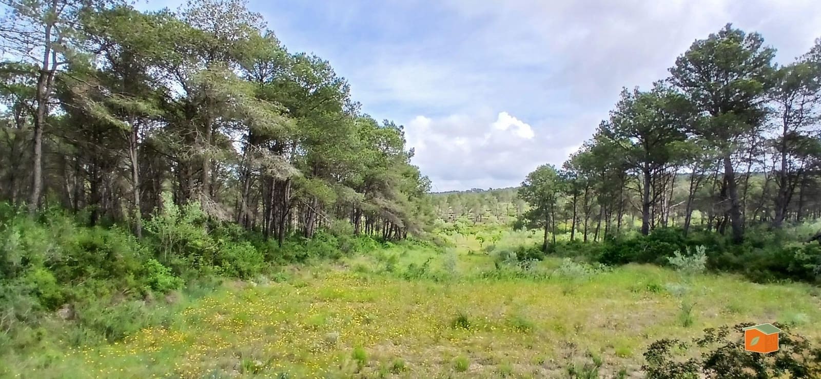 2 soveværelse Finca/Landehus til salg i El Perello med swimmingpool garage - € 245.000 (Ref: 9007304)