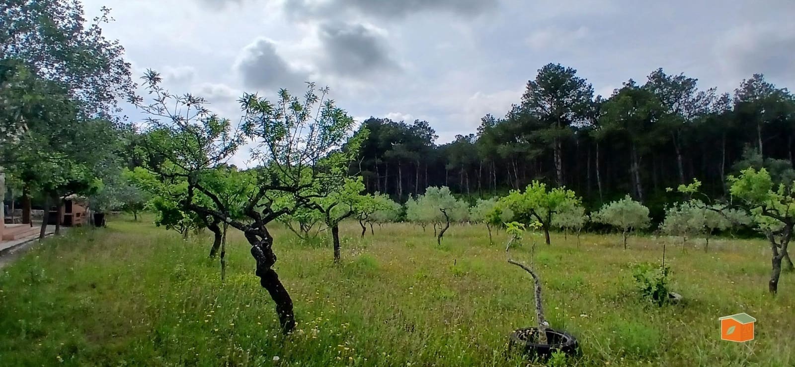 2 soveværelse Finca/Landehus til salg i El Perello med swimmingpool garage - € 245.000 (Ref: 9007304)