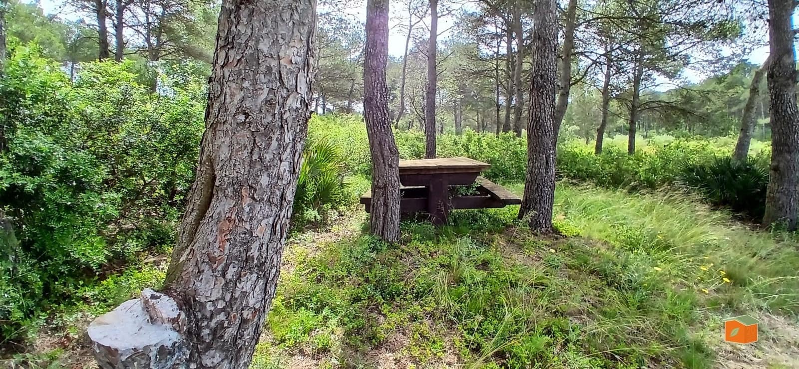 2 soveværelse Finca/Landehus til salg i El Perello med swimmingpool garage - € 245.000 (Ref: 9007304)