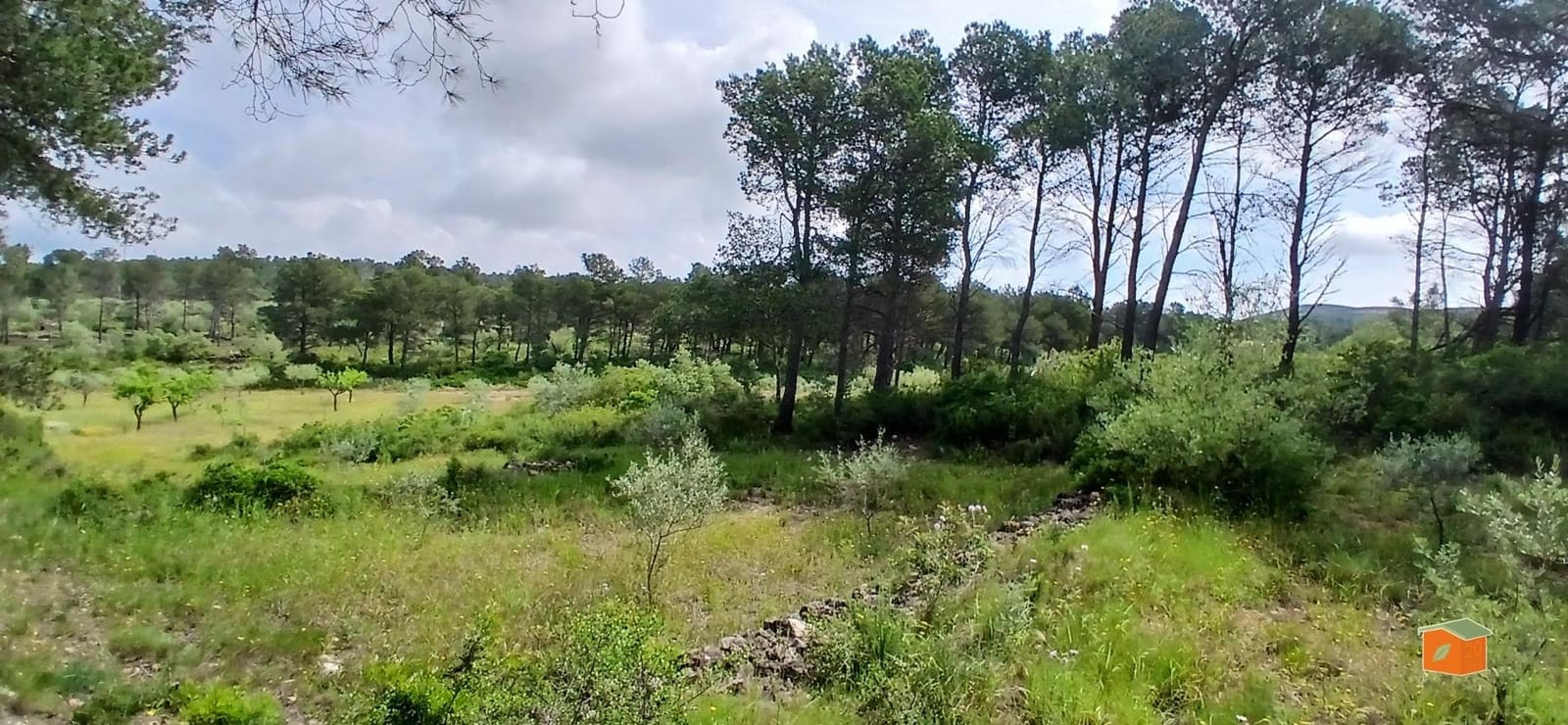 2 soveværelse Finca/Landehus til salg i El Perello med swimmingpool garage - € 245.000 (Ref: 9007304)