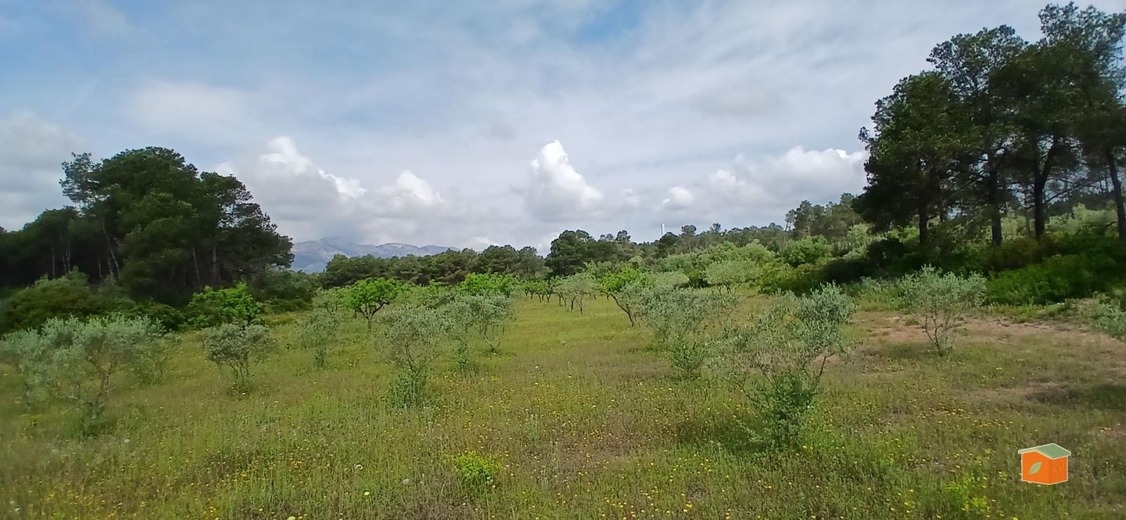 2 soveværelse Finca/Landehus til salg i El Perello med swimmingpool garage - € 245.000 (Ref: 9007304)