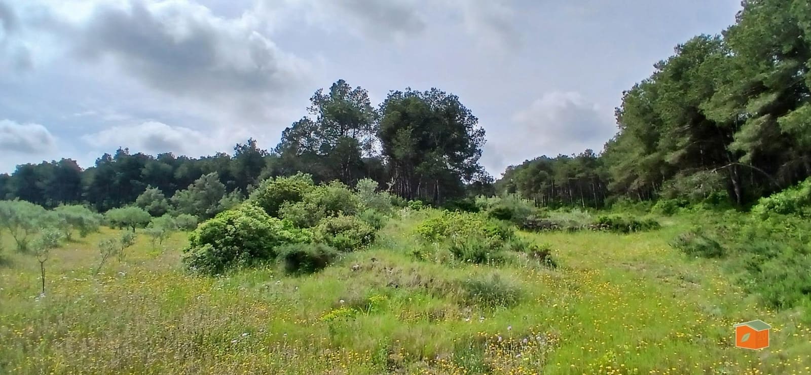 2 soveværelse Finca/Landehus til salg i El Perello med swimmingpool garage - € 245.000 (Ref: 9007304)