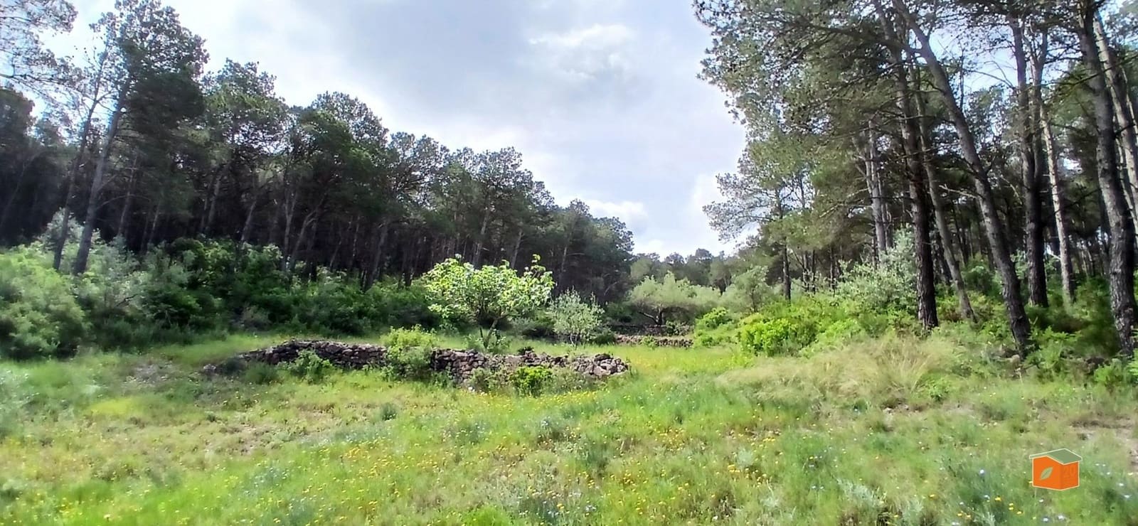 2 soveværelse Finca/Landehus til salg i El Perello med swimmingpool garage - € 245.000 (Ref: 9007304)