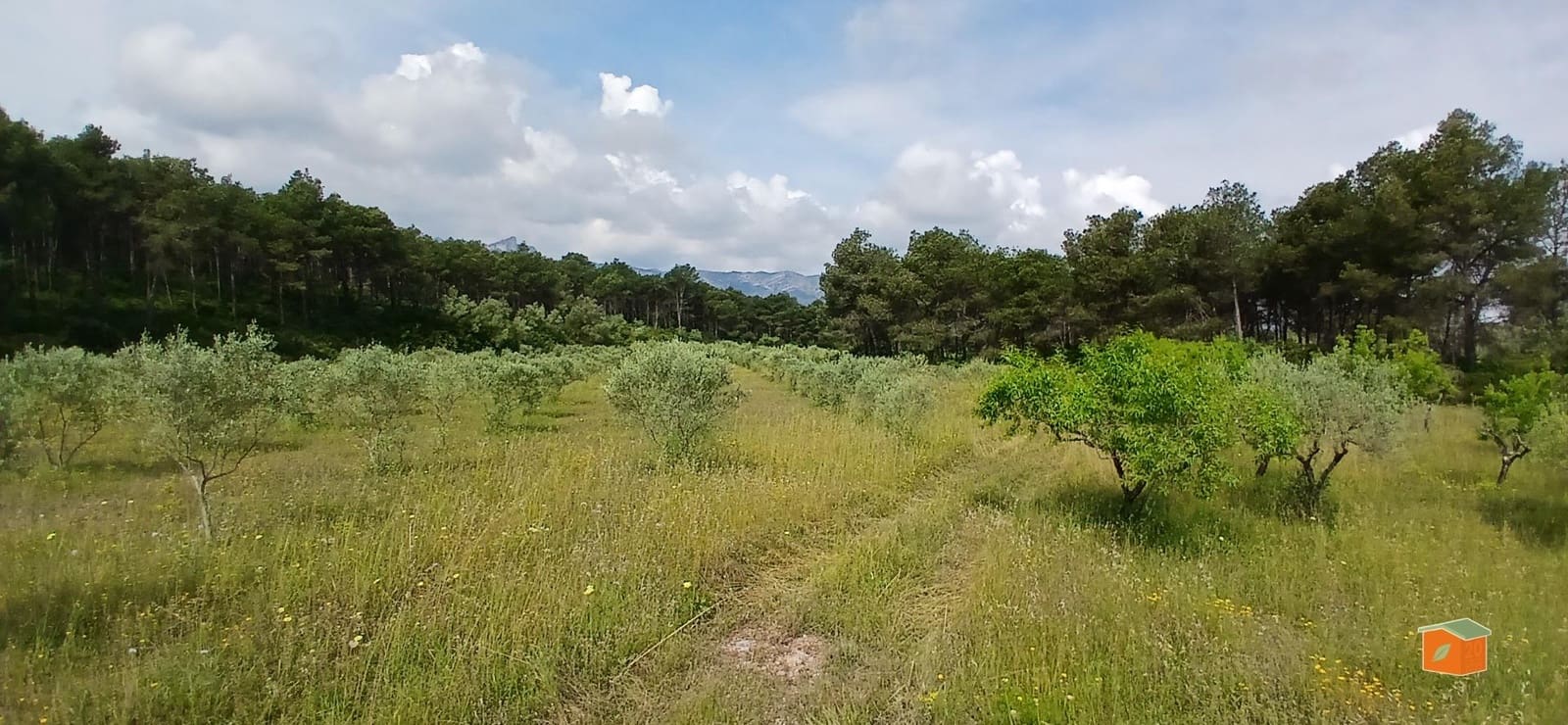 2 soveværelse Finca/Landehus til salg i El Perello med swimmingpool garage - € 245.000 (Ref: 9007304)