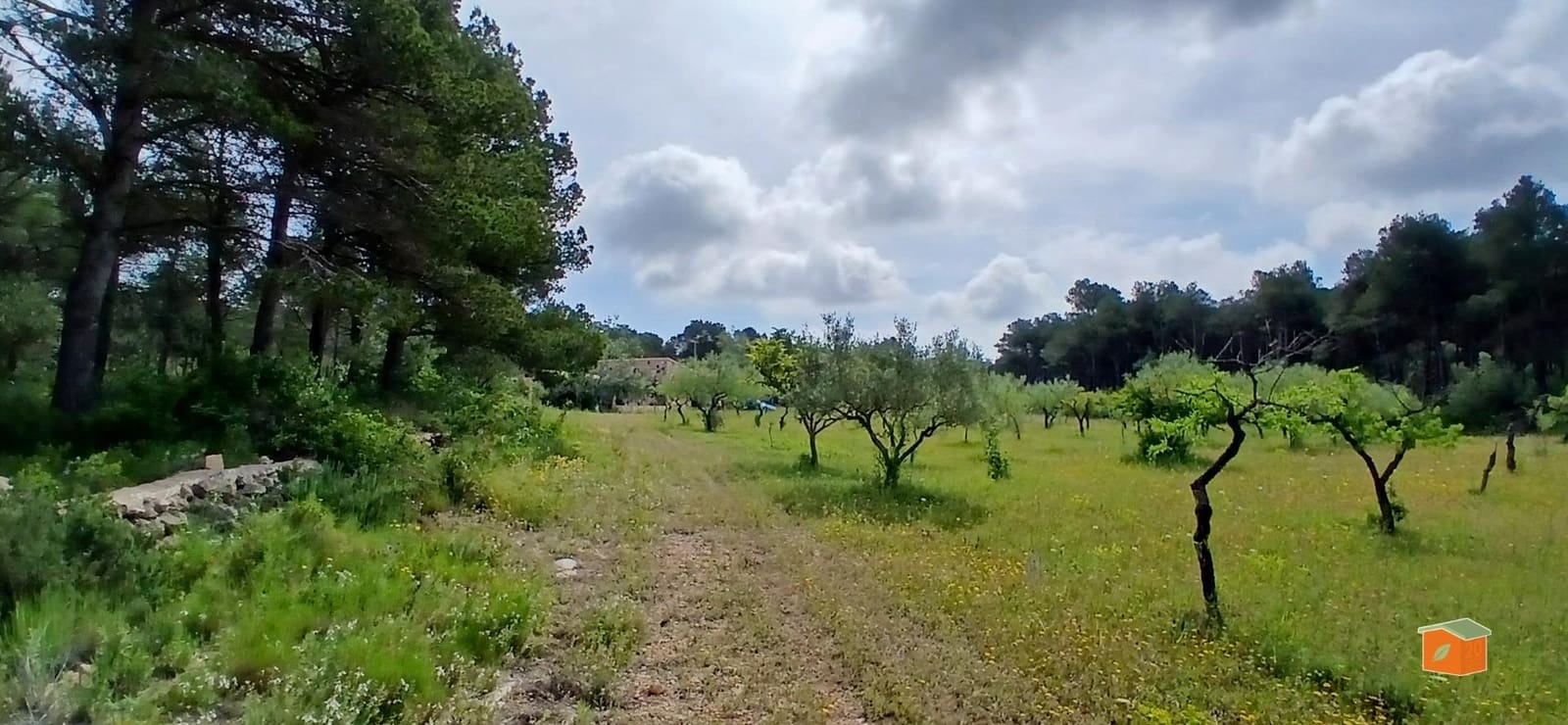 2 soveværelse Finca/Landehus til salg i El Perello med swimmingpool garage - € 245.000 (Ref: 9007304)