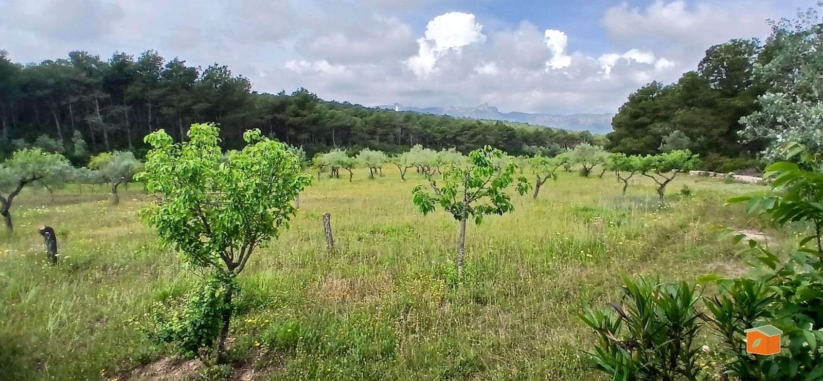 2 soveværelse Finca/Landehus til salg i El Perello med swimmingpool garage - € 245.000 (Ref: 9007304)