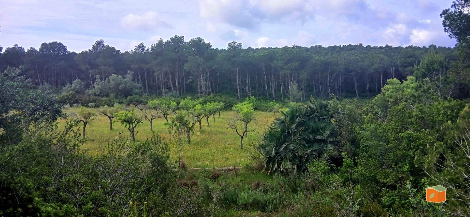 2 soveværelse Finca/Landehus til salg i El Perello med swimmingpool garage - € 245.000 (Ref: 9007304)