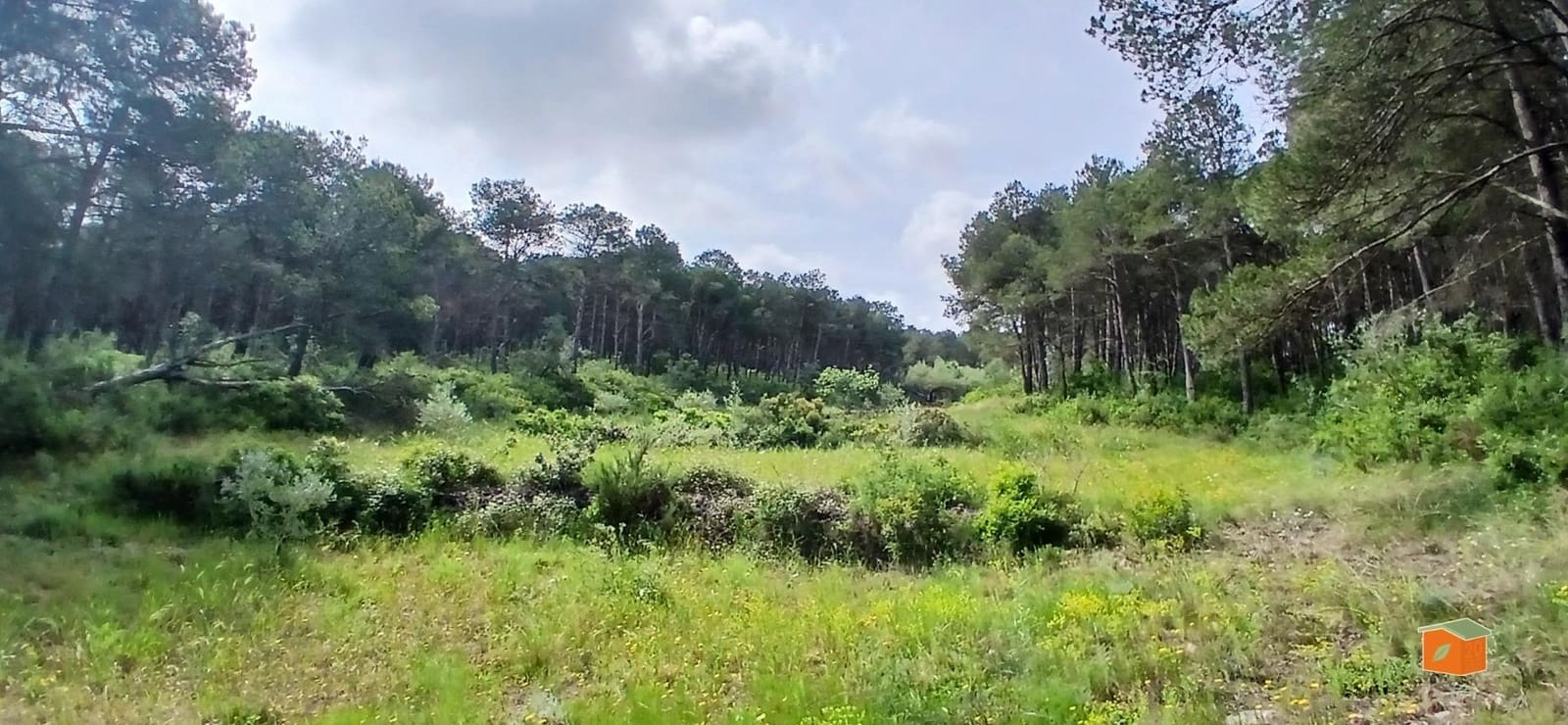 2 soveværelse Finca/Landehus til salg i El Perello med swimmingpool garage - € 245.000 (Ref: 9007304)