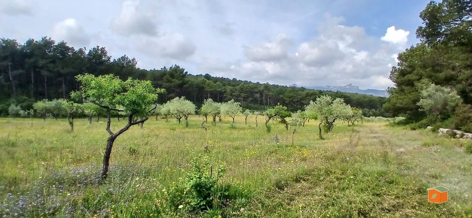 2 soveværelse Finca/Landehus til salg i El Perello med swimmingpool garage - € 245.000 (Ref: 9007304)