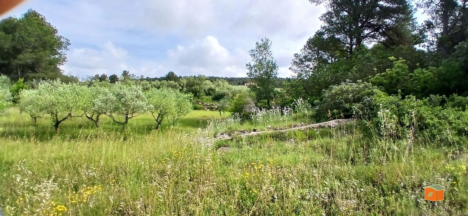 2 soveværelse Finca/Landehus til salg i El Perello med swimmingpool garage - € 245.000 (Ref: 9007304)