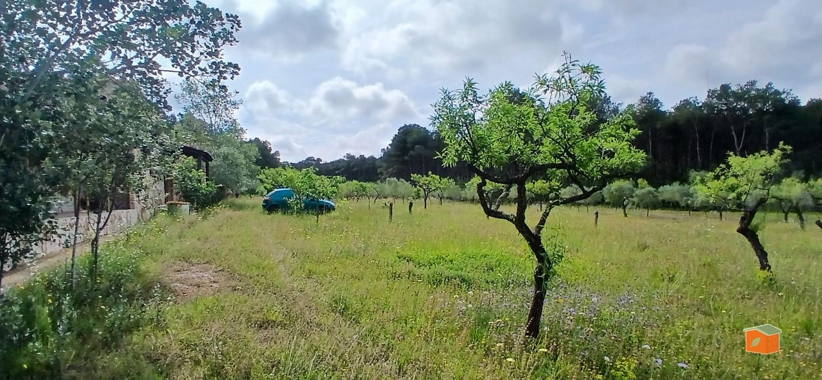 2 soveværelse Finca/Landehus til salg i El Perello med swimmingpool garage - € 245.000 (Ref: 9007304)