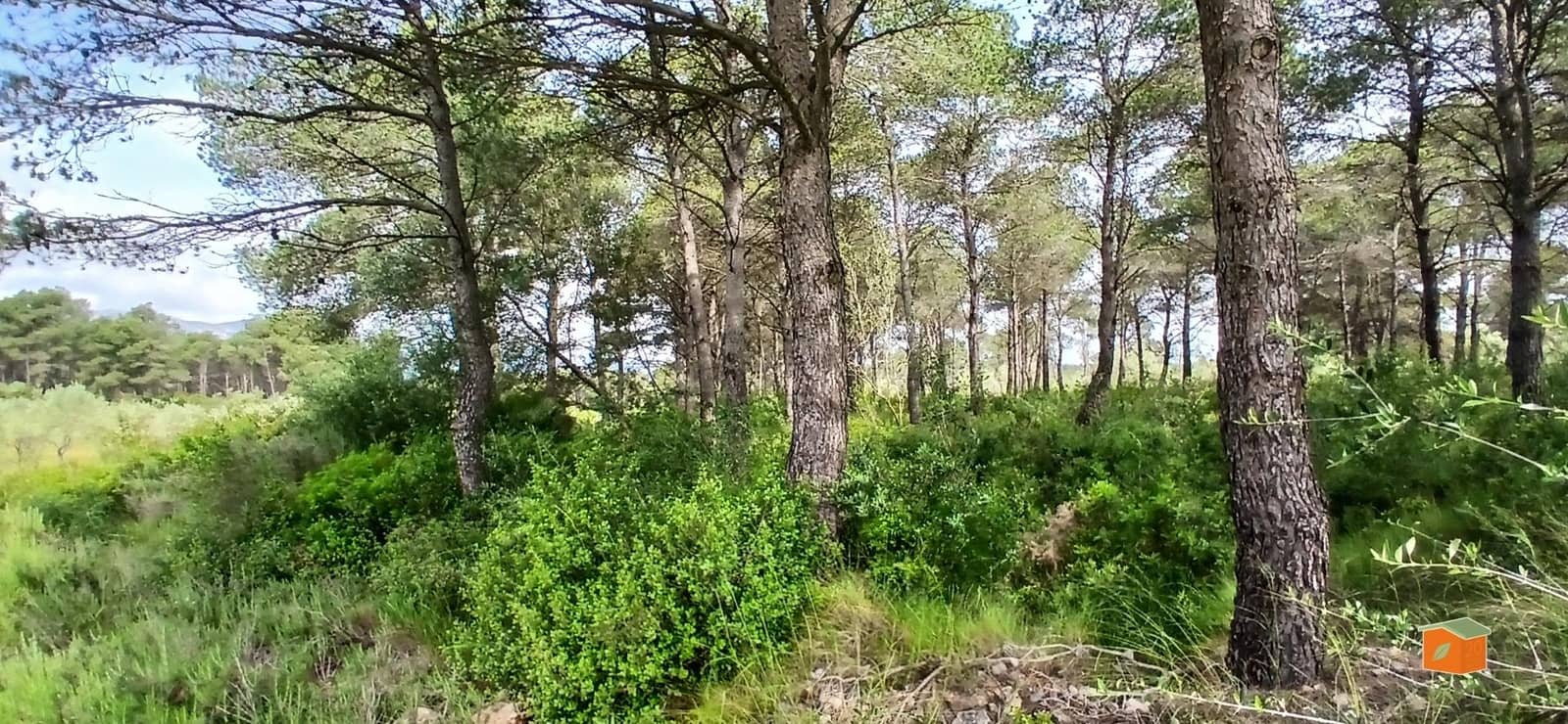 2 soveværelse Finca/Landehus til salg i El Perello med swimmingpool garage - € 245.000 (Ref: 9007304)