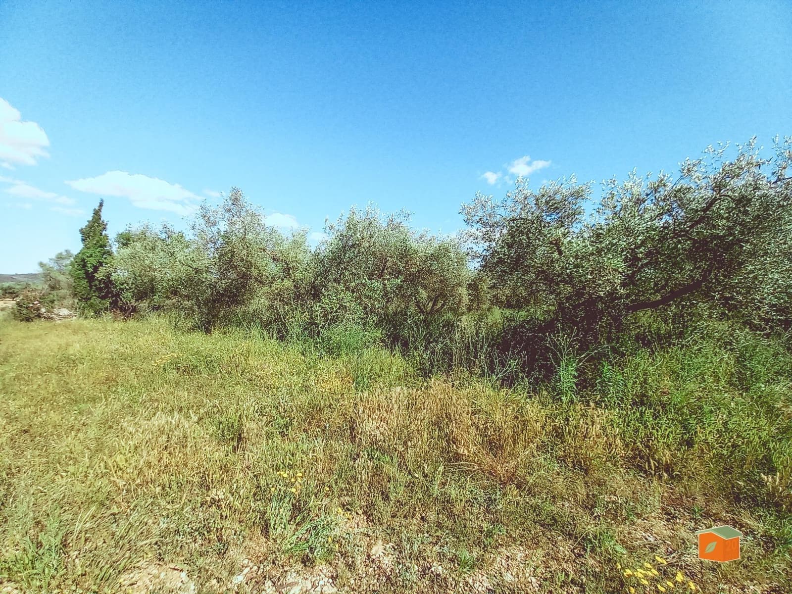 1 bedroom Finca/Country House for sale in Godall - € 49,000 (Ref: 9023687)