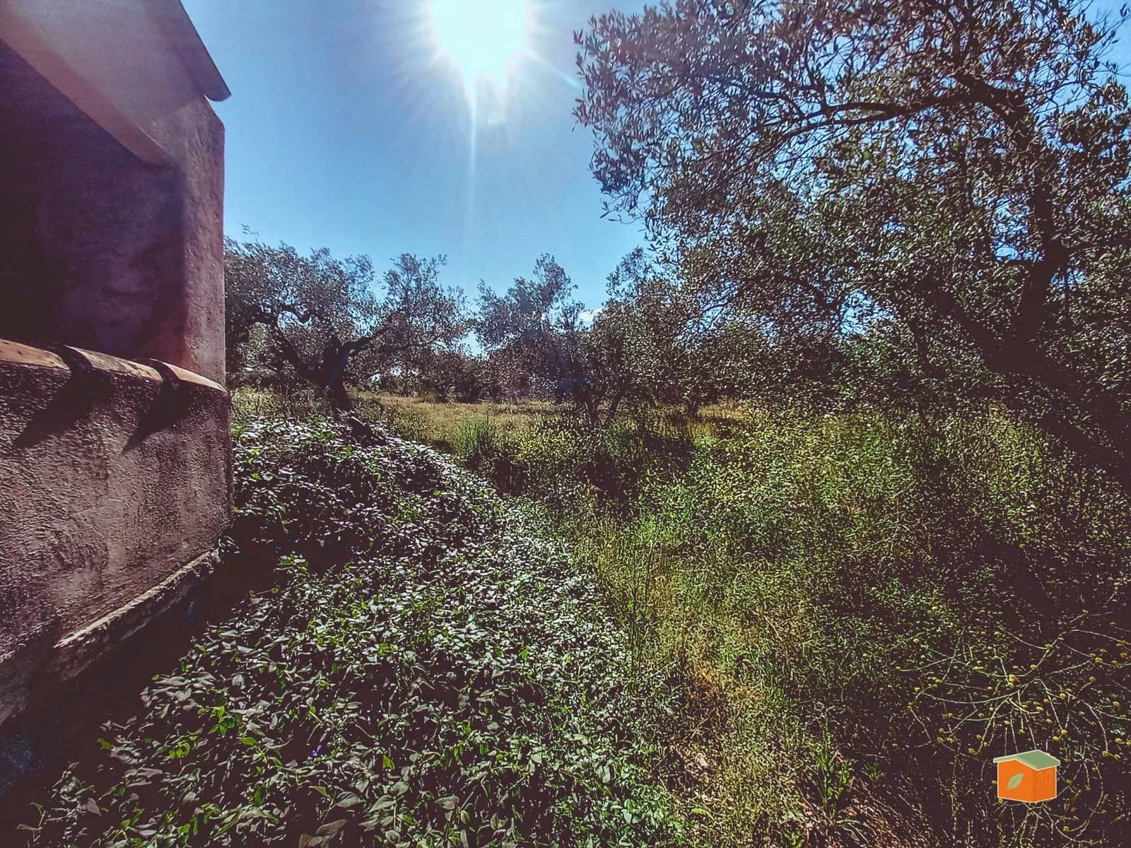 1 bedroom Finca/Country House for sale in Godall - € 49,000 (Ref: 9023687)