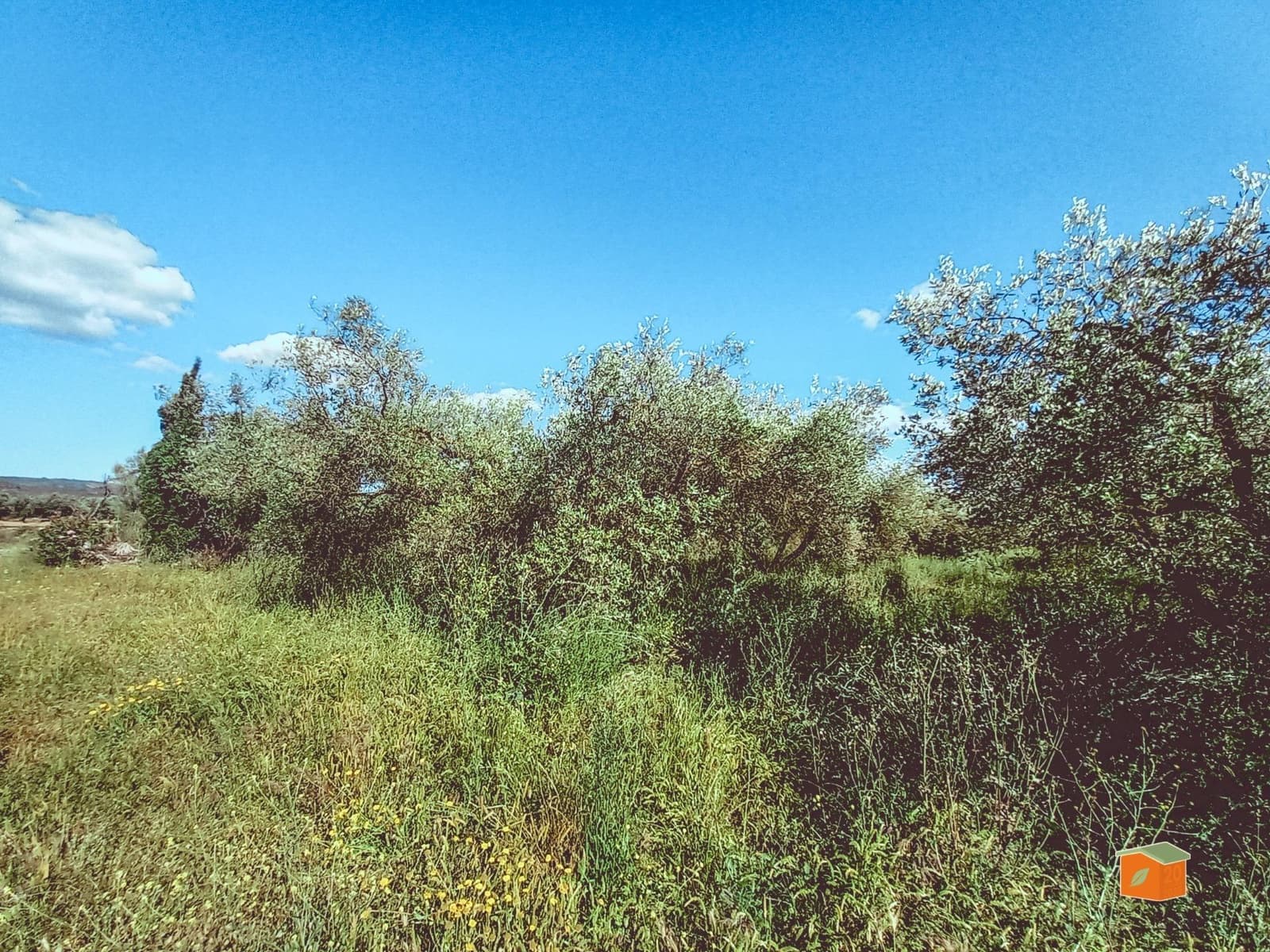 1 bedroom Finca/Country House for sale in Godall - € 49,000 (Ref: 9023687)