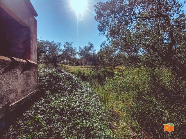 1 bedroom Finca/Country House for sale in Godall - € 49,000 (Ref: 9023687)