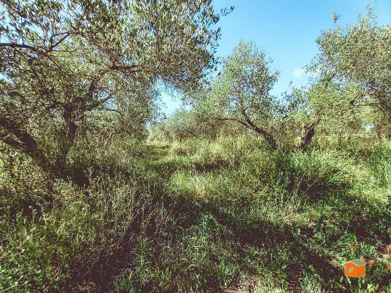 1 bedroom Finca/Country House for sale in Godall - € 49,000 (Ref: 9023687)