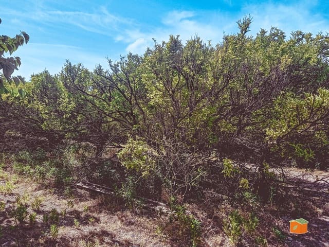 Undeveloped Land for sale in Santa Bàrbara - € 35,000 (Ref: 9036818)