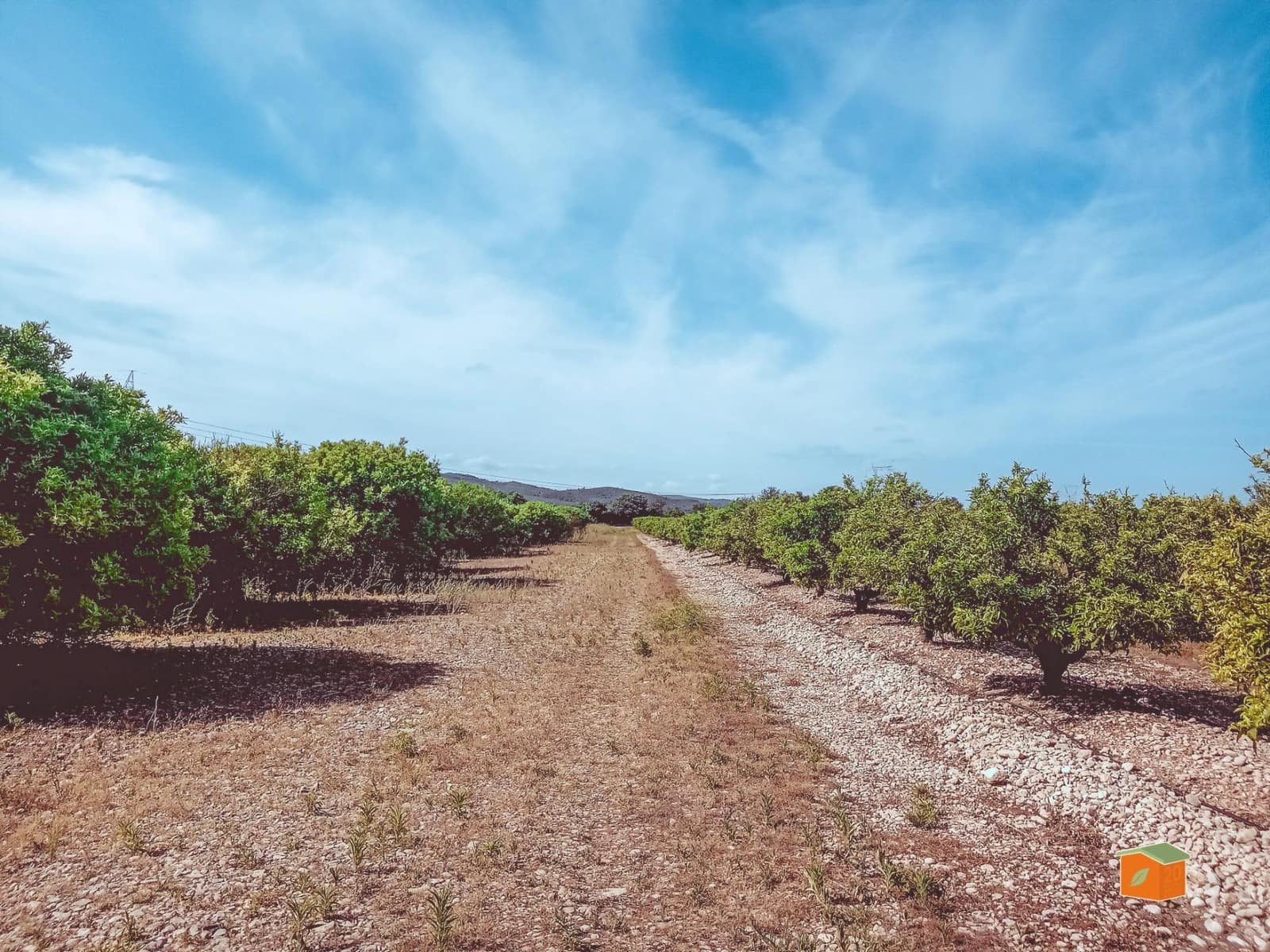 Grunde uden byggetilladelser til salg i Santa Barbara - € 35.000 (Ref: 9036818)