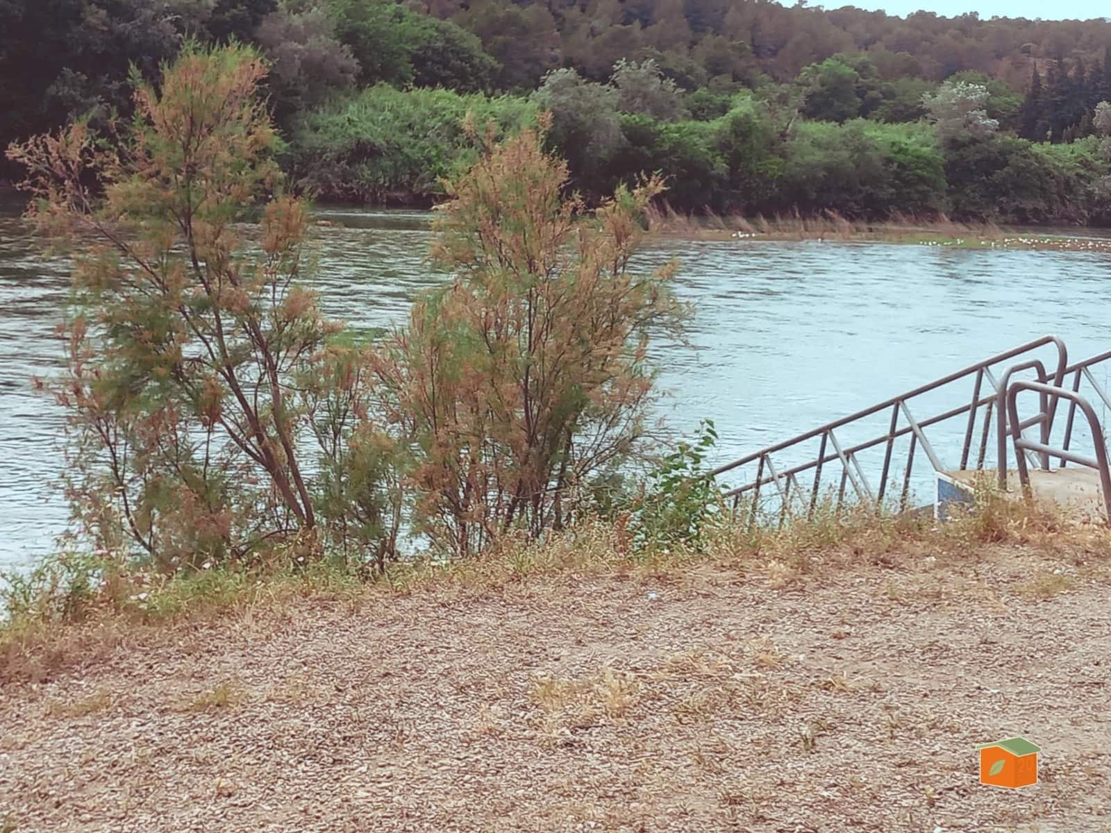 2 soveværelse Villa til salg i Bitem med swimmingpool - € 315.000 (Ref: 9036819)