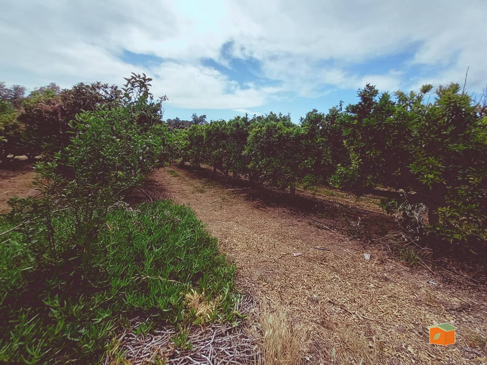 2 soveværelse Villa til salg i Bitem med swimmingpool - € 315.000 (Ref: 9036819)