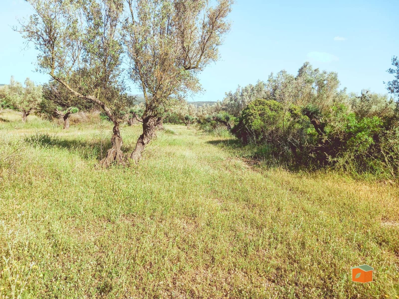 Ubebygd land til salgs i Ulldecona - € 17 500 (Ref: 9118868)