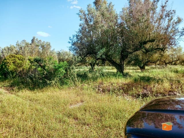 Rakentamaton maa myytävänä paikassa Ulldecona - 17 500 € (Ref: 9118868)