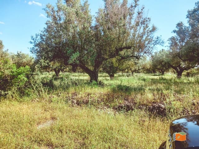 Rakentamaton maa myytävänä paikassa Ulldecona - 17 500 € (Ref: 9118868)