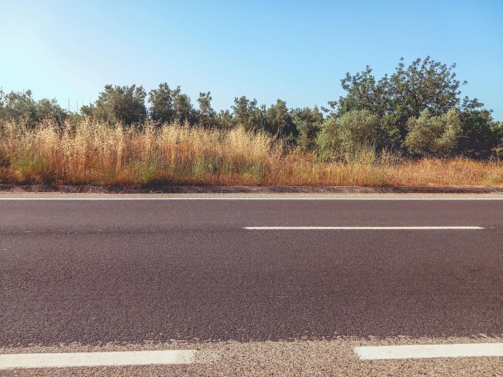 Ubebygd land til salgs i Ulldecona - € 9 500 (Ref: 9125220)