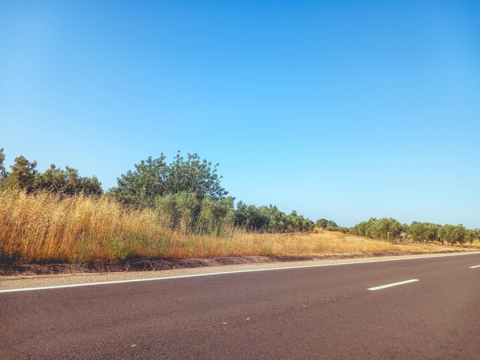 Ubebygd land til salgs i Ulldecona - € 9 500 (Ref: 9125220)