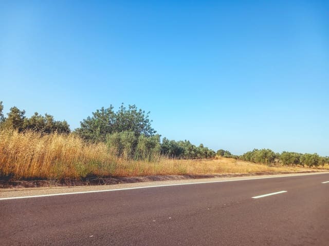 Rakentamaton maa myytävänä paikassa Ulldecona - 9 500 € (Ref: 9125220)