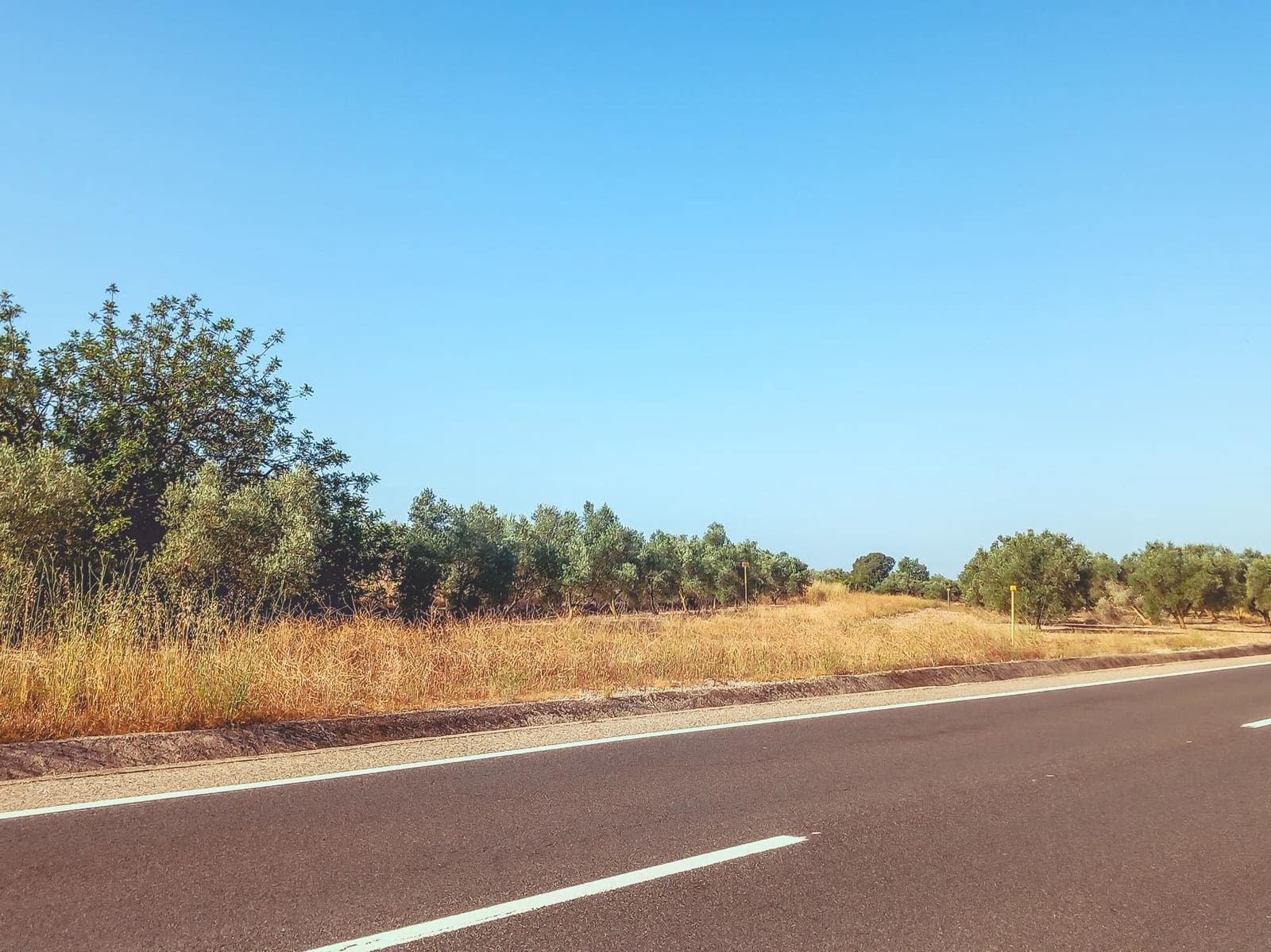 Ubebygd land til salgs i Ulldecona - € 9 500 (Ref: 9125220)